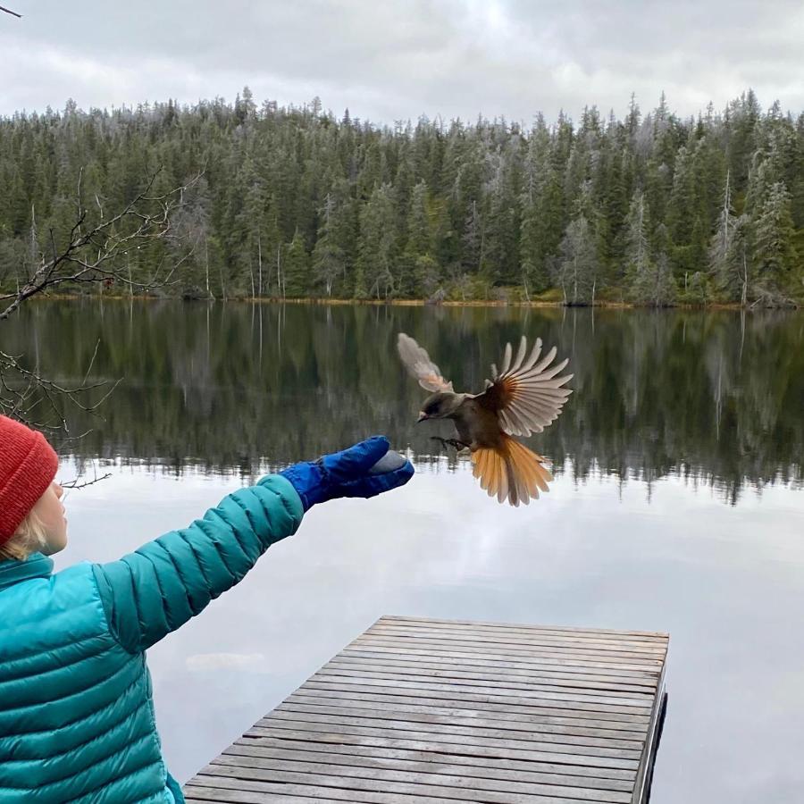 Villa Saarua By The Slopes Ski In, Family & Bike Park, Hike Trails, National Park, Wifi - Lapland Villas Ruka Esterno foto