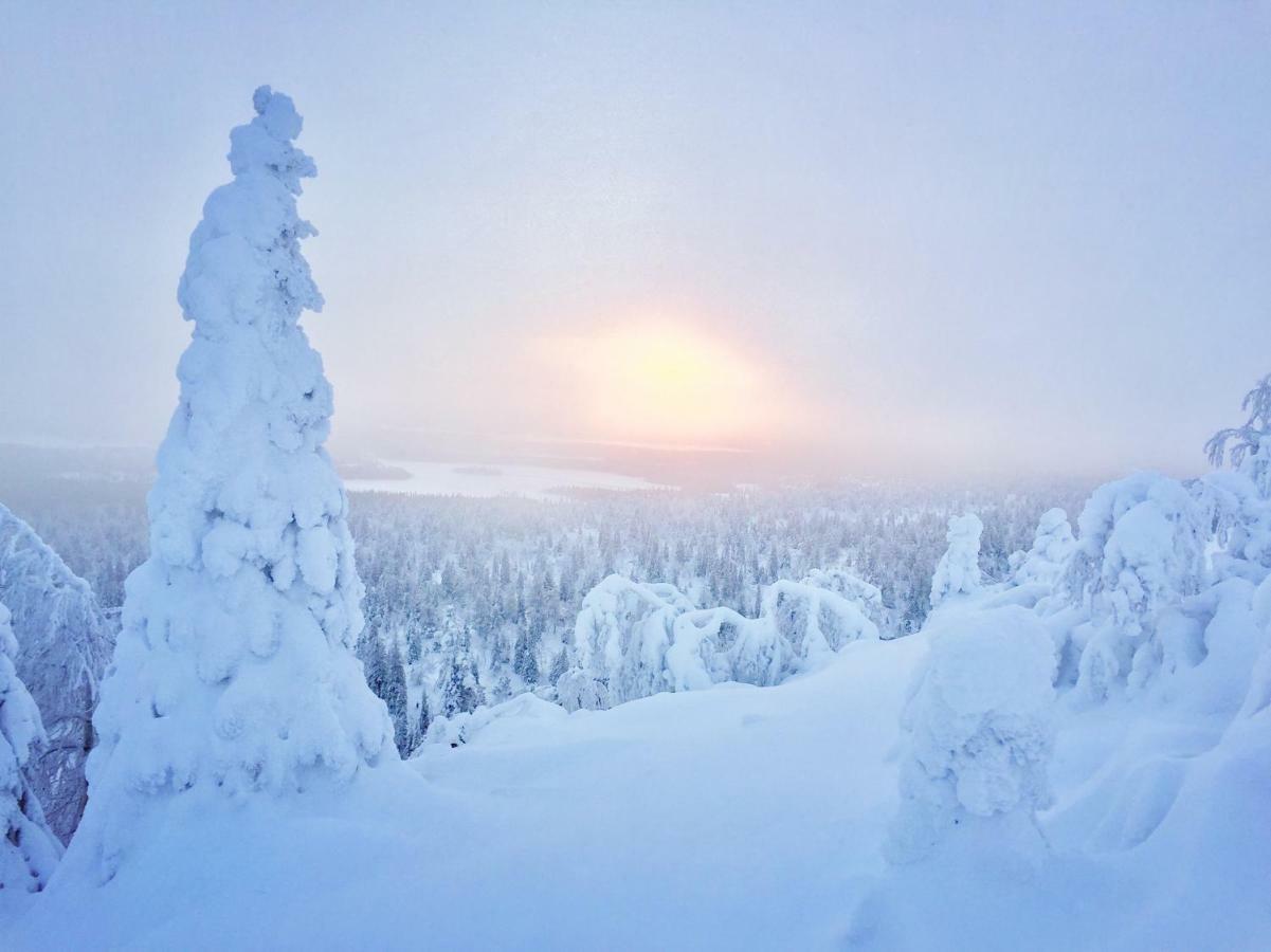 Villa Saarua By The Slopes Ski In, Family & Bike Park, Hike Trails, National Park, Wifi - Lapland Villas Ruka Esterno foto