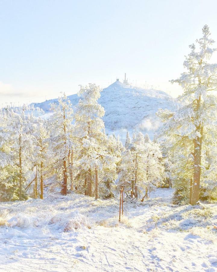 Villa Saarua By The Slopes Ski In, Family & Bike Park, Hike Trails, National Park, Wifi - Lapland Villas Ruka Esterno foto