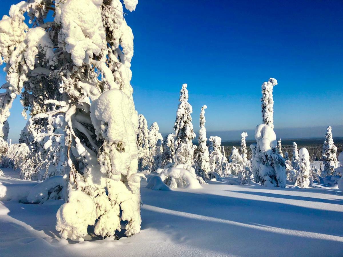 Villa Saarua By The Slopes Ski In, Family & Bike Park, Hike Trails, National Park, Wifi - Lapland Villas Ruka Esterno foto