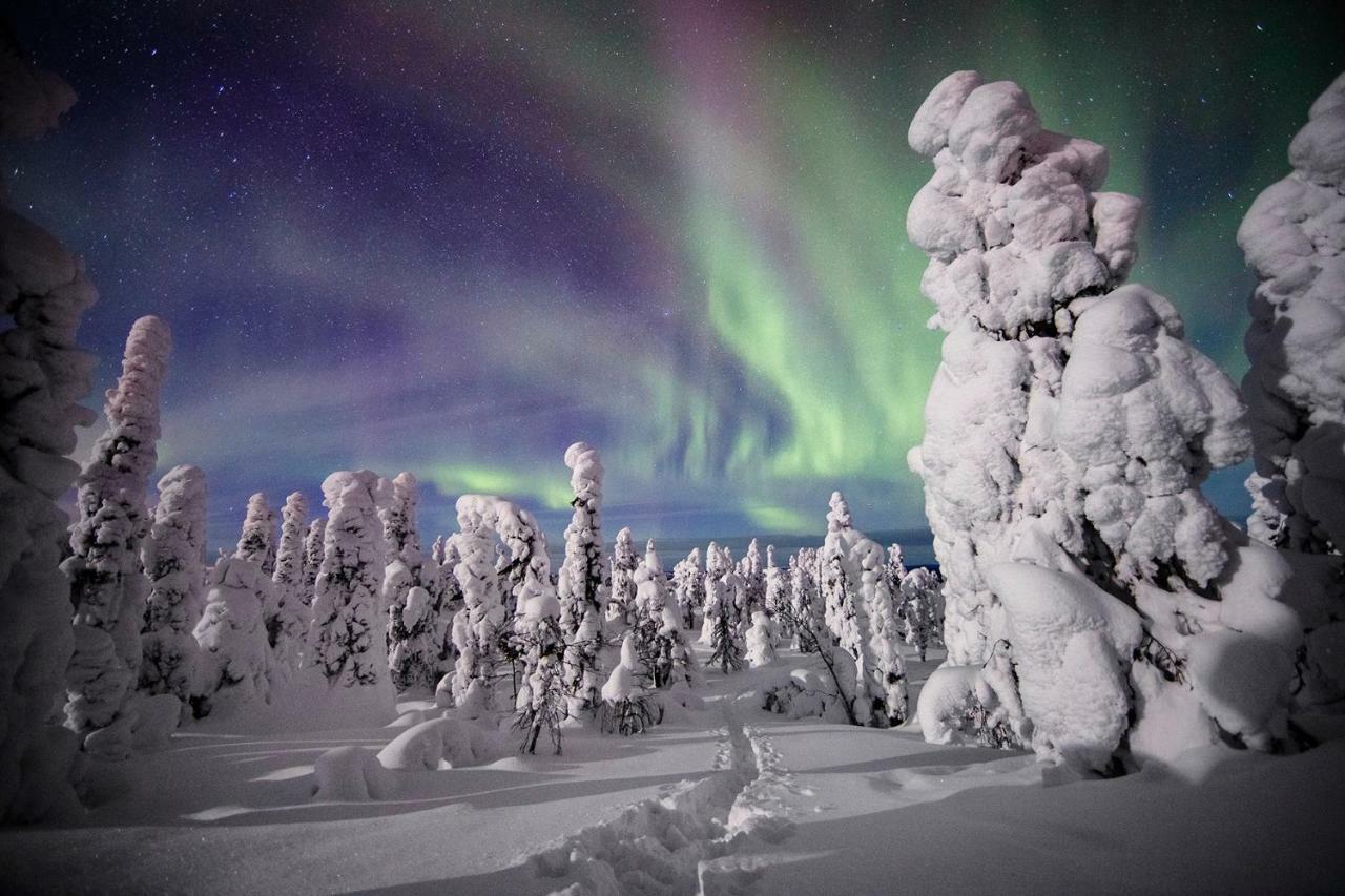 Villa Saarua By The Slopes Ski In, Family & Bike Park, Hike Trails, National Park, Wifi - Lapland Villas Ruka Esterno foto